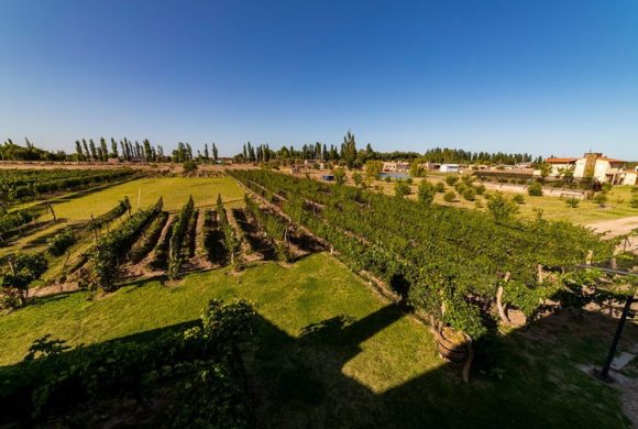 Chaglasian Wine & Suites – San Rafael, Mendoza