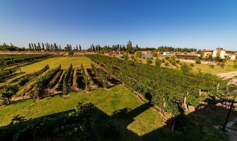 Chaglasian Wine & Suites – San Rafael, Mendoza